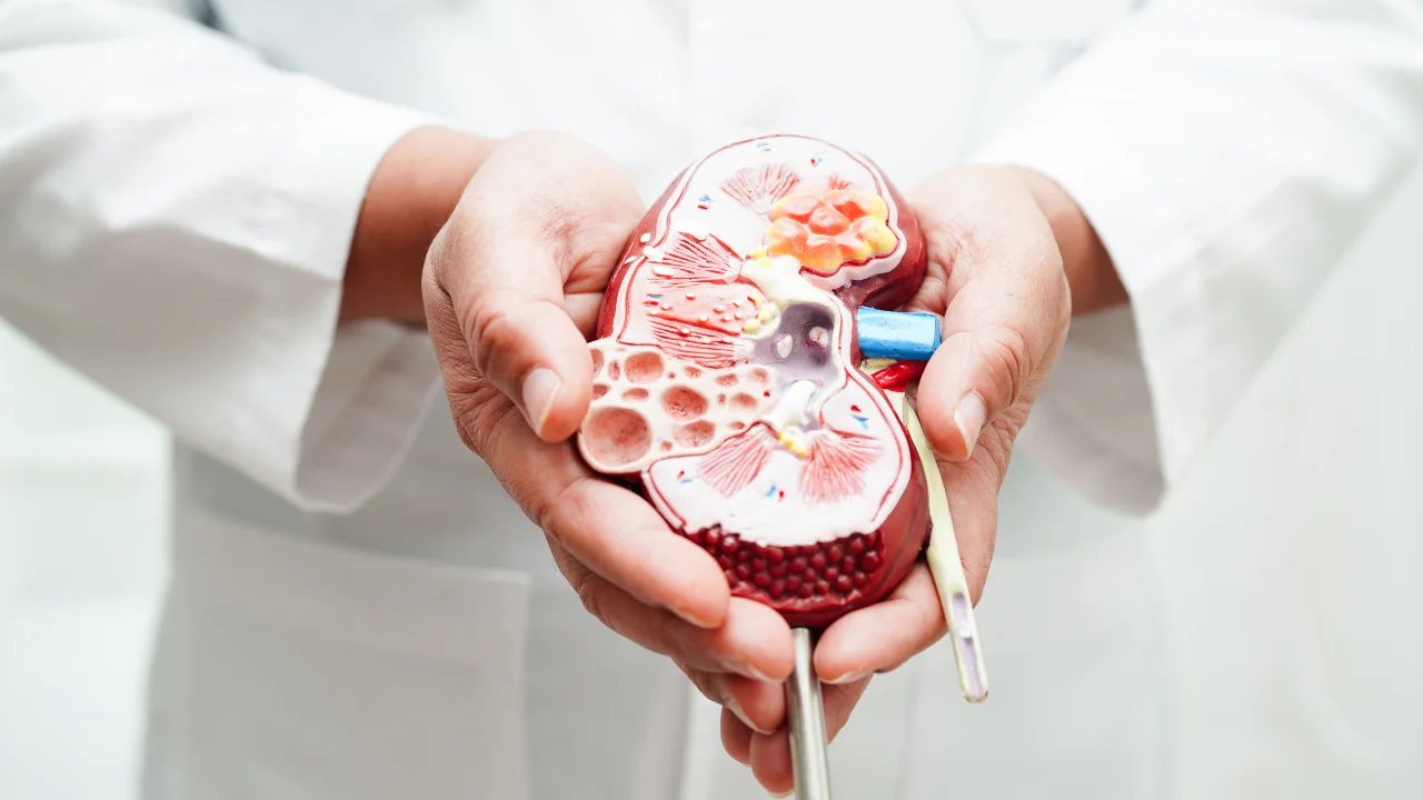 HEREDITARY KIDNEY DISEASE