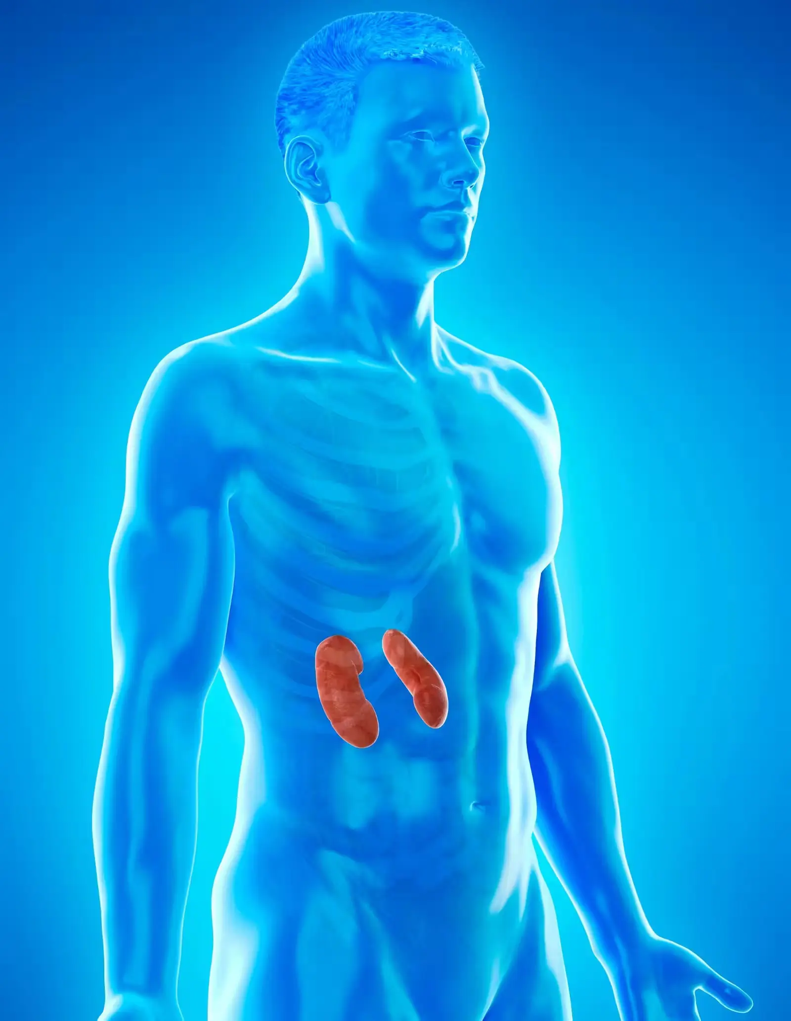 Reclaim Your Health, Renew Your Life.