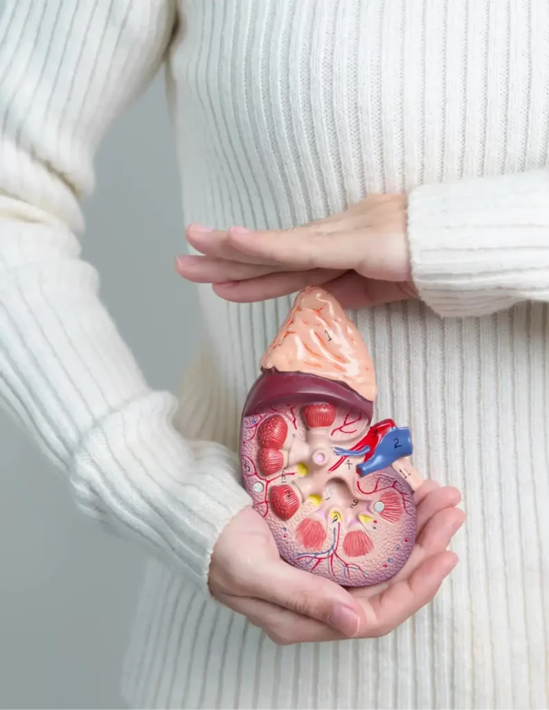 HEREDITARY KIDNEY DISEASE